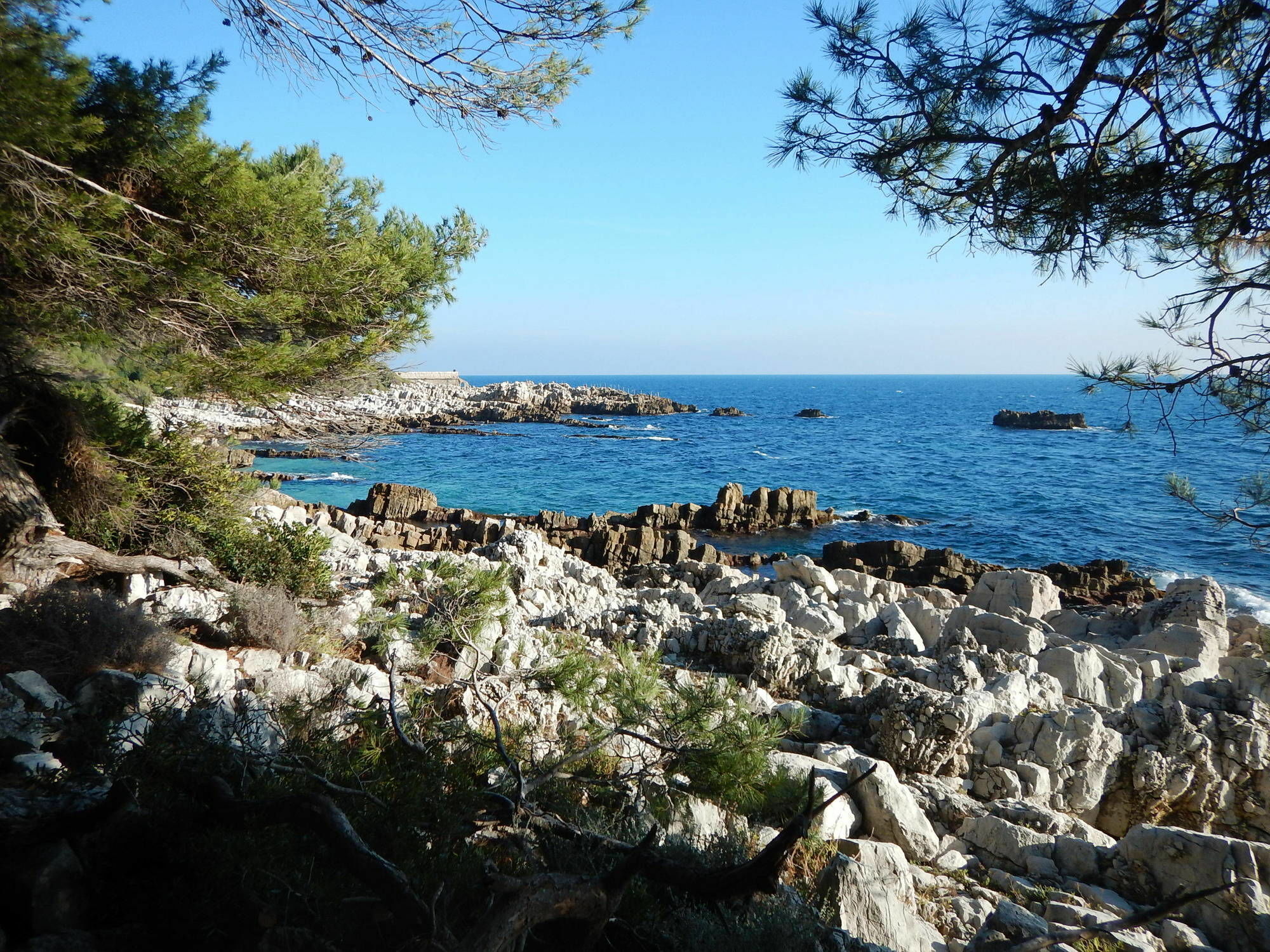 Hotel Miramar- Cap D'Antibes - La Garoupe Plage Exteriör bild